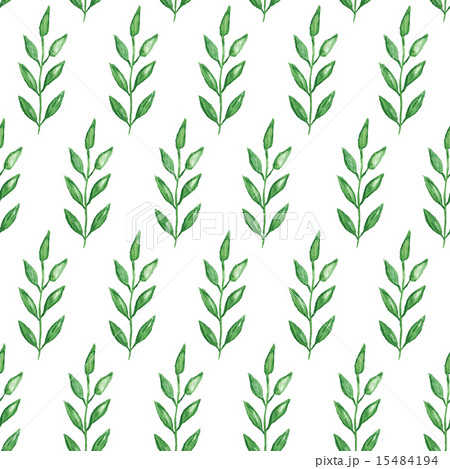 Seamless hand painted green herb pattern. Seamless hand painted green herb pattern. 15484194