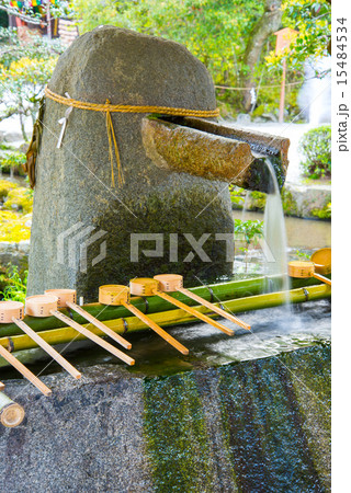神山湧水 神山湧水 15484534