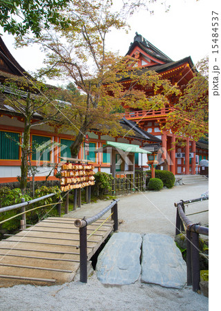 上賀茂神社 上賀茂神社 15484537