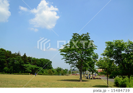 玄海田公園　 15484739