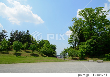 みなみ台公園 みなみ台公園 15484741