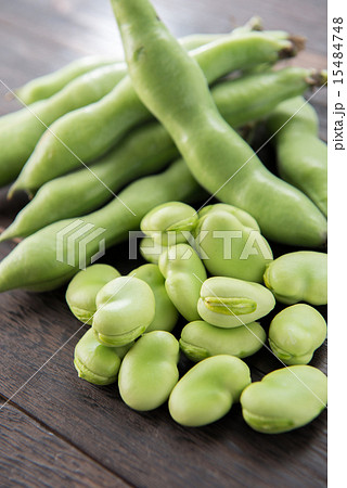 そら豆 15484748