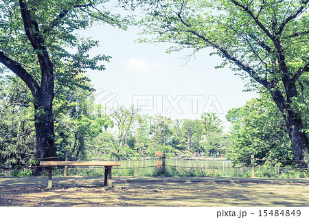 背景素材 ベンチのある風景の写真素材