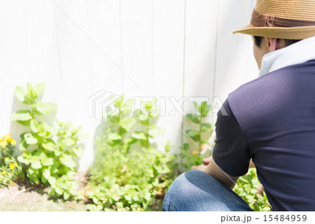 庭いじり 15484959