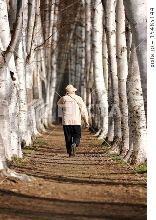 札幌・屯田防風林 15485144