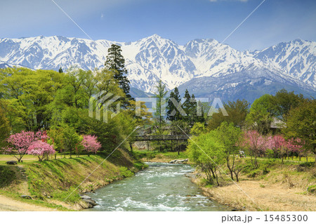 大出公園 15485300