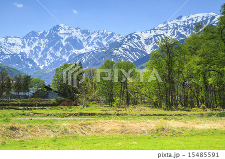 白馬　後立山 15485591