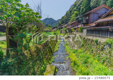 春の石見銀山の大森地区を流れる銀山川の写真素材