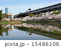 桃ヶ池公園の春 15486106