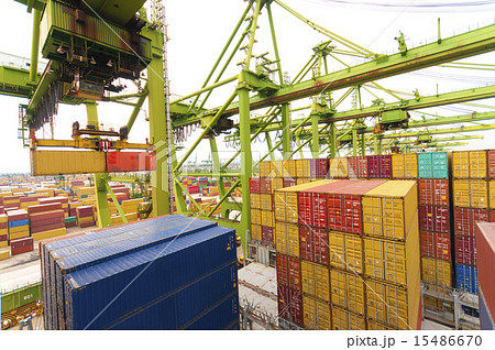 container operation in port with cranes and gantry 15486670