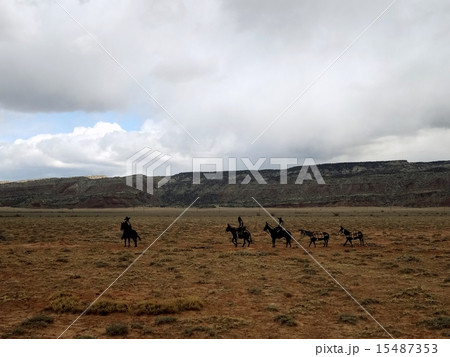 アメリカ 15487353