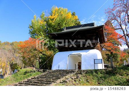 秋の善龍寺山門 15488263