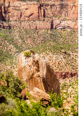 Zion Canyon National Park Utah 15488419
