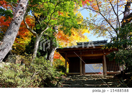 秋の大龍寺山門 秋の大龍寺山門 15488588