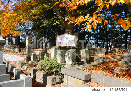 山本家の墓(八重の先祖) 山本家の墓(八重の先祖) 15488591