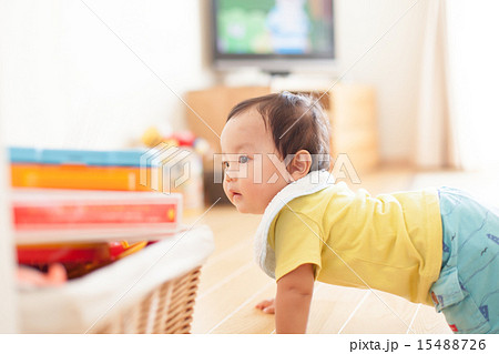 1 year old 1 year old 15488726