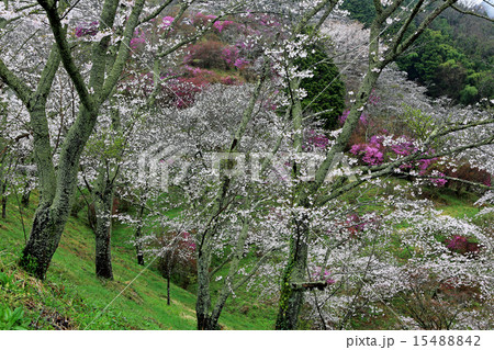三休公園01 三休公園01 15488842