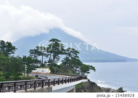 瀬平自然公園 瀬平自然公園 15488928