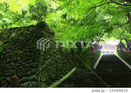 新緑の鰐淵寺 15490610