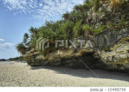 新原ビーチ 15490736