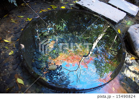 清正の井に映る紅葉 清正の井に映る紅葉 15490824