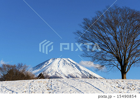 冬の富士山 15490854