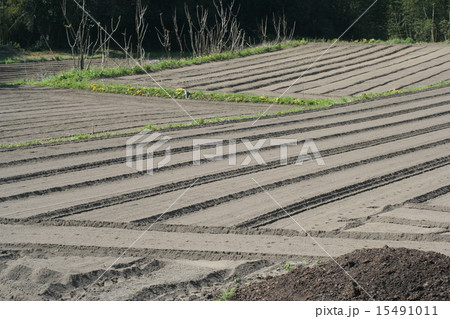 耕作地０７ 15491011