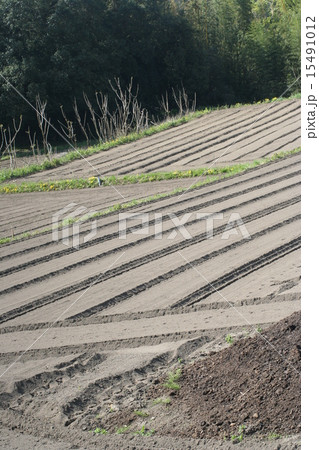 耕作地０８ 15491012