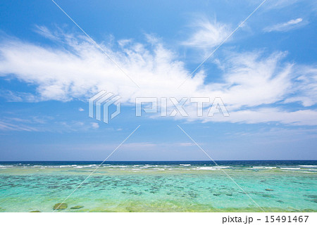 沖縄の海 15491467