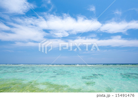 沖縄の海 15491476