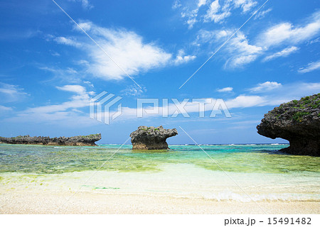 沖縄のビーチ 15491482