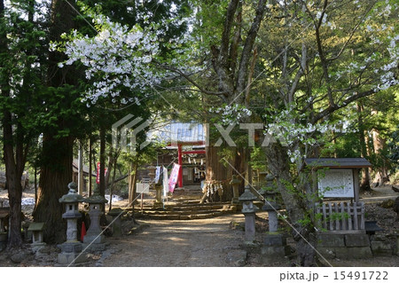 いわはし神社 いわはし神社 15491722