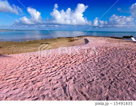 Beach with pink sand Beach with pink sand 15491835