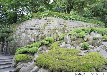 鹿児島　仙厳園 15492054