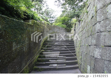 鹿児島　仙厳園 15492055