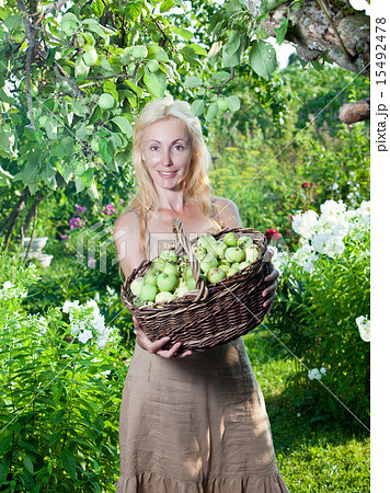 The young attractive woman with a basket of apples 15492478