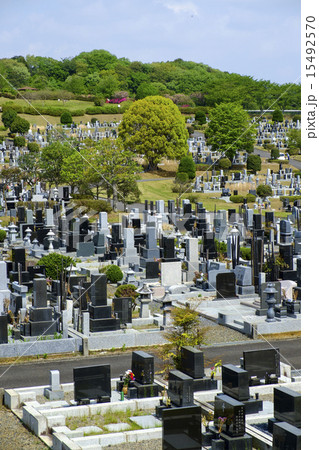 お墓 墓地 霊園 お墓 墓地 霊園 15492570