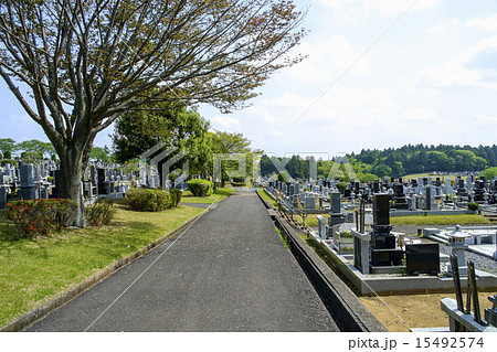 お墓　墓地　霊園 15492574