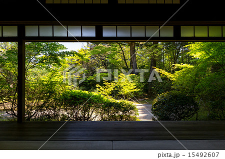 新緑の滝口寺 15492607