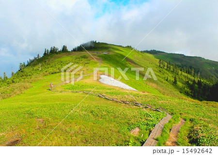 雪解けを待つ 15492642