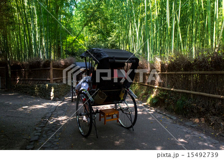 新緑の竹林の道 新緑の竹林の道 15492739