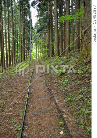 トロッコ軌道跡 15492837