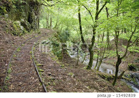 トロッコ軌道跡 トロッコ軌道跡 15492839