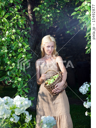 beautiful woman with basket of apples in a garden beautiful woman with basket of apples in a garden 15492877