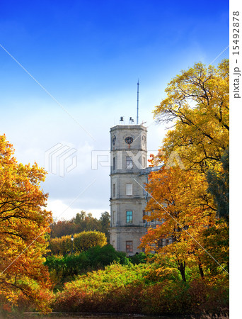 Gatchina, bright autumn tree in park near a palace Gatchina, bright autumn tree in park near a palace 15492878