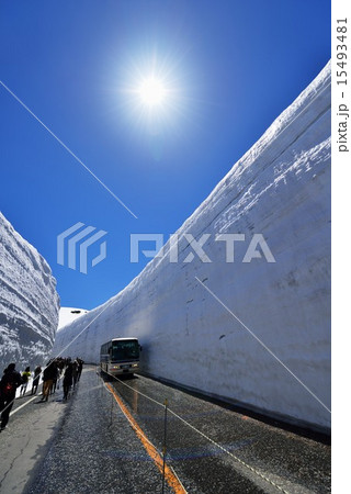 雪の大谷 雪の大谷 15493481