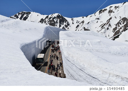 雪の大谷と大日連峰 15493485