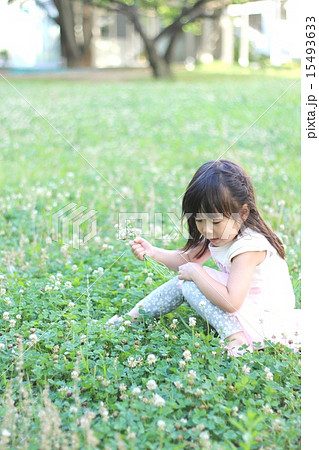 草原の女の子 草原の女の子 15493633