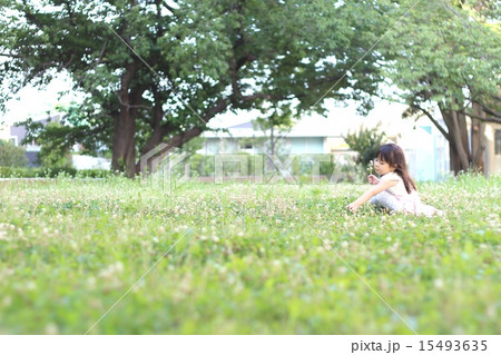 草原の女の子 15493635