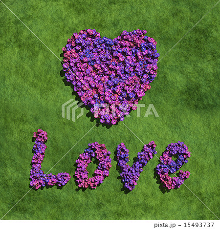 purple love and heart create by flowers with grass purple love and heart create by flowers with grass 15493737